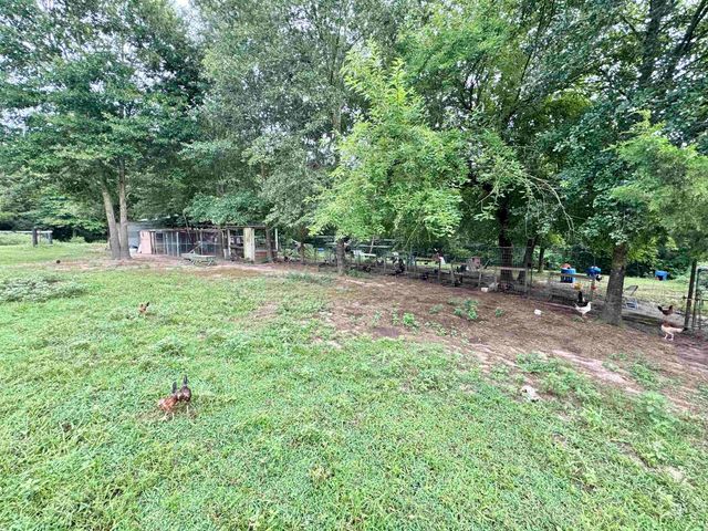11229 Ocelot Rd., Gilmer, TX 75644