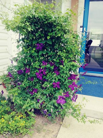 319 Brookstone Drive, Greenfield, IN 46140