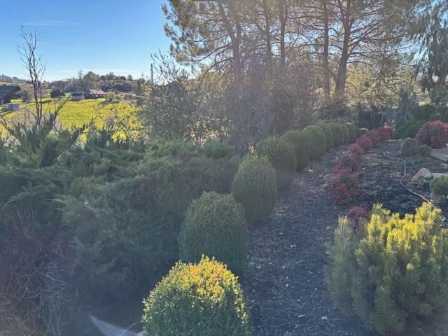 2579 Otter Trl, Cool, CA 95614