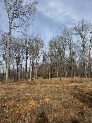 1589 Frederick Dr, Clarksville, TN 37042