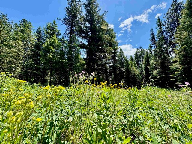 22767 Spruce Lane, Winchester, ID 83555