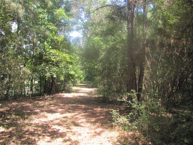000 Tree Farm Rd, Magnolia, TX 77354