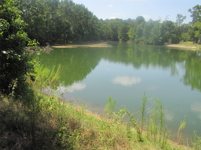 000 Tree Farm Rd, Magnolia, TX 77354