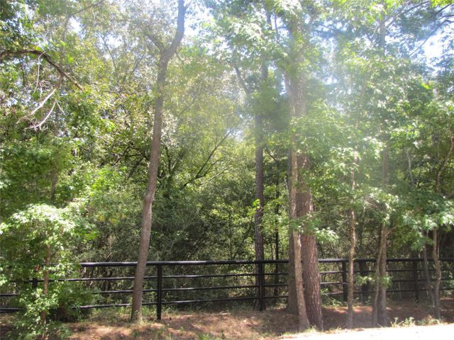 000 Tree Farm Rd, Magnolia, TX 77354