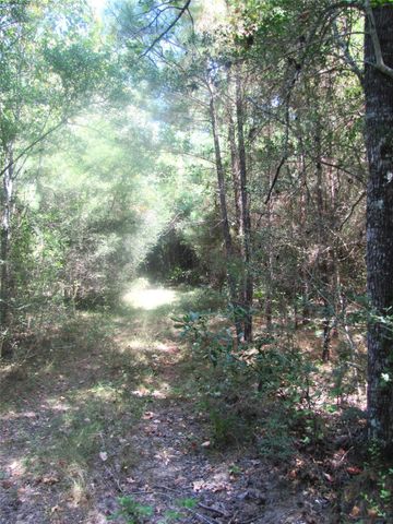 000 Tree Farm Rd, Magnolia, TX 77354