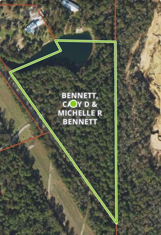000 Tree Farm Rd, Magnolia, TX 77354