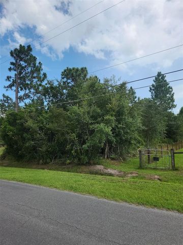 RALSTON STREET, Orlando, FL 32833