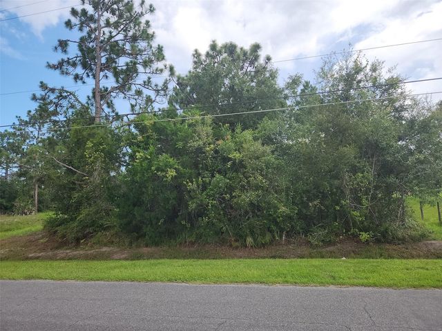 RALSTON STREET, Orlando, FL 32833