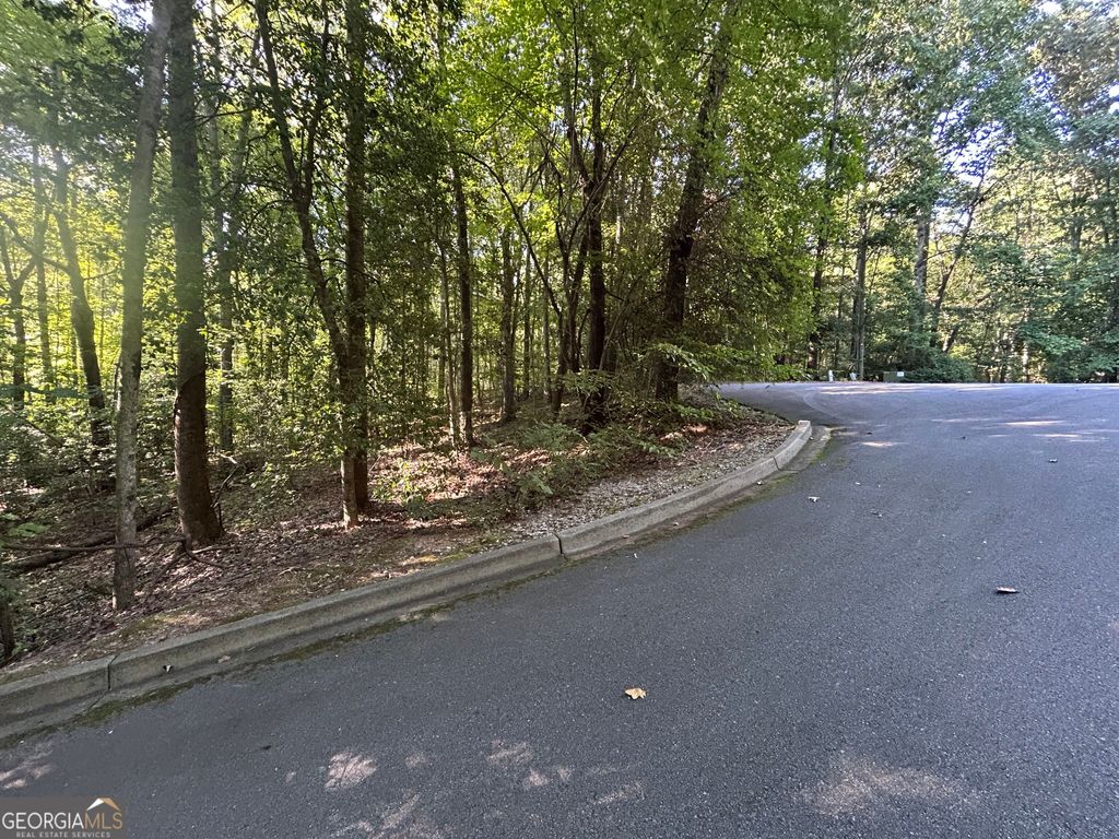 0 Professional Drive LOT 7, Baldwin, GA 30511 — photo 3