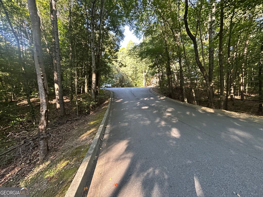 0 Professional Drive LOT 7, Baldwin, GA 30511 — photo 4