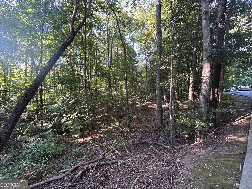 0 Professional Drive LOT 7, Baldwin, GA 30511 — photo 5
