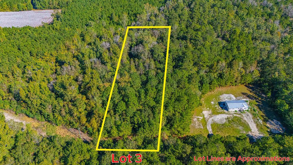 7035 Long Horne Ranch Dr., Loris, SC 29569 — photo 2