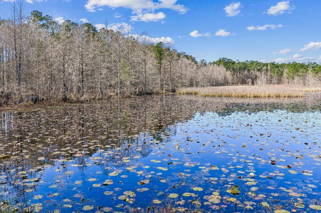 453 Eagleview Drive, Moncks Corner, SC 29461