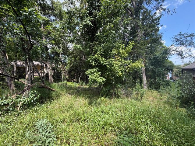 4013 Windswept Drive, Montgomery, TX 77356