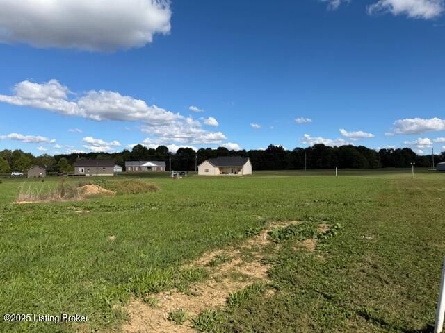 162 Locust grove, Bedford, KY 40006