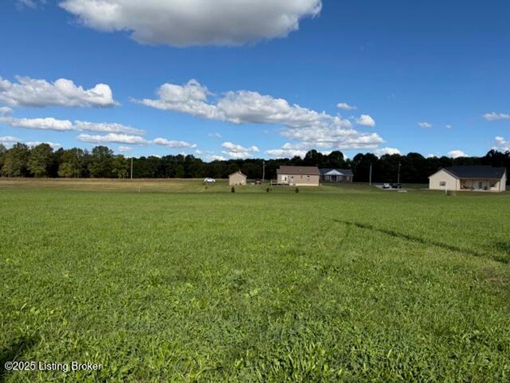 162 Locust grove, Bedford, KY 40006