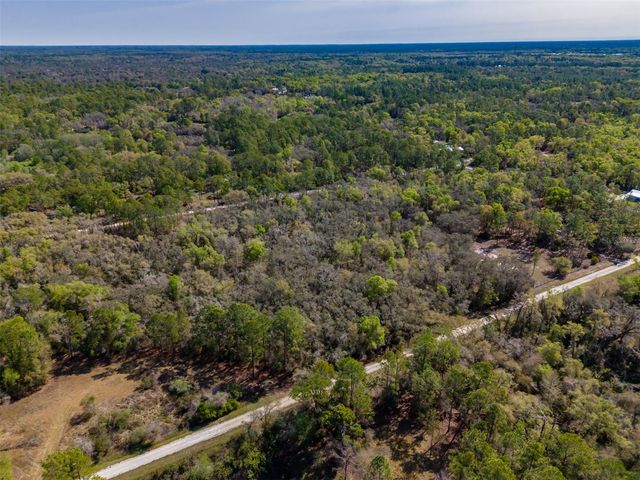 7252 SONIA AVENUE, Webster, FL 33597