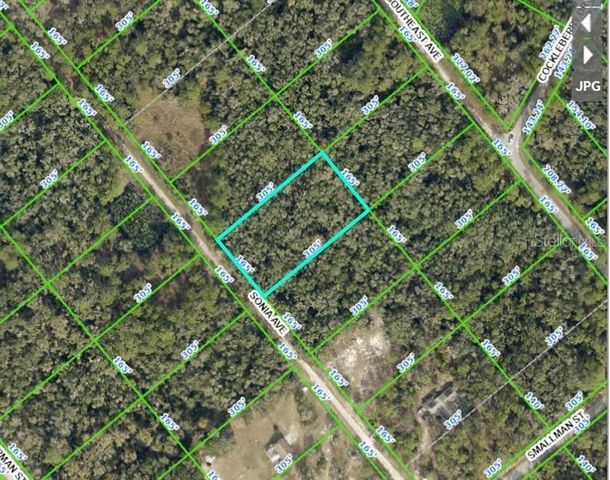 7252 SONIA AVENUE, Webster, FL 33597