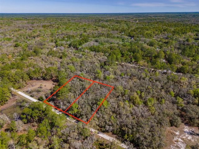 7252 SONIA AVENUE, Webster, FL 33597