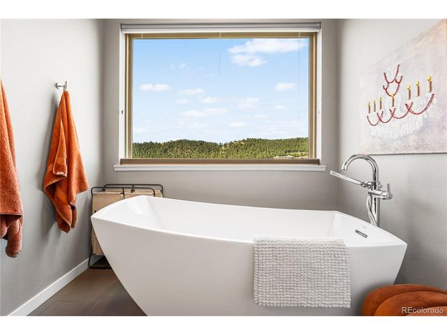 747 Dreamcatcher Ln, Evergreen, CO 80439