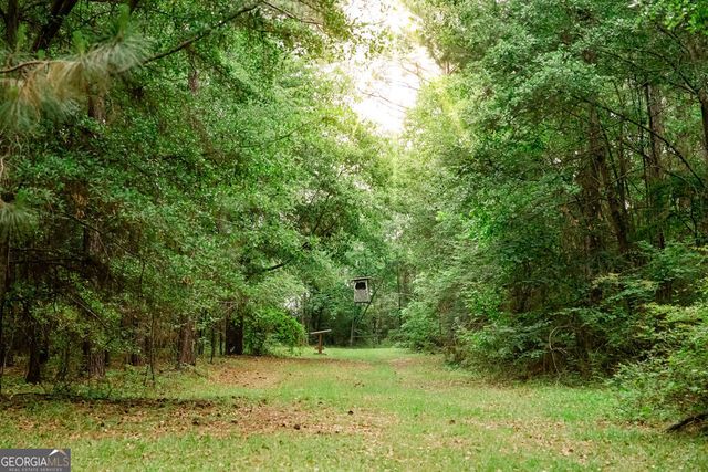 200 Mimosa Lane, Cairo, GA 39827