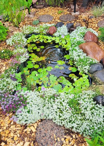 22870 Quay Street NW, Saint Francis, MN 55070