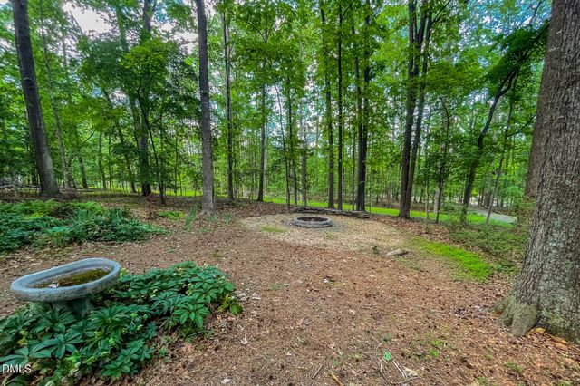 11911 N Roxboro Road, Rougemont, NC 27572