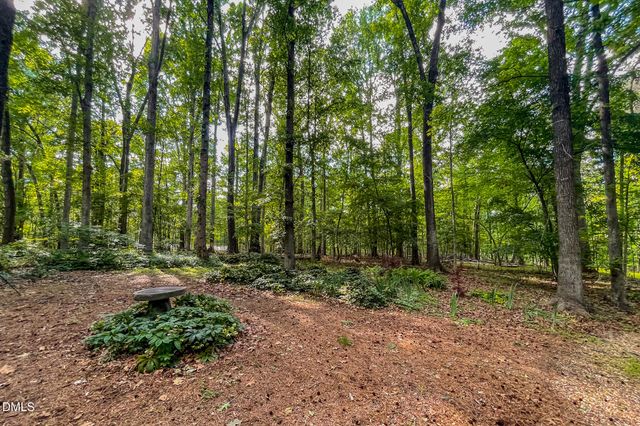 11911 N Roxboro Road, Rougemont, NC 27572