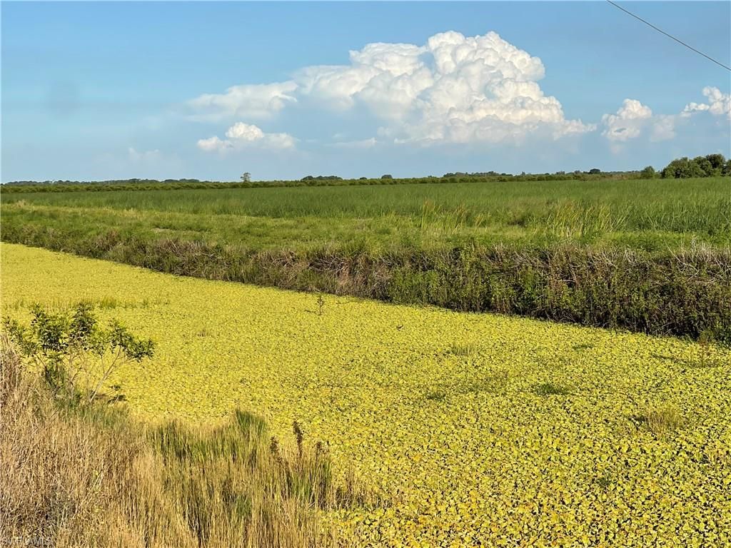 6001 3rd RD, LABELLE, FL 33935 — photo 4