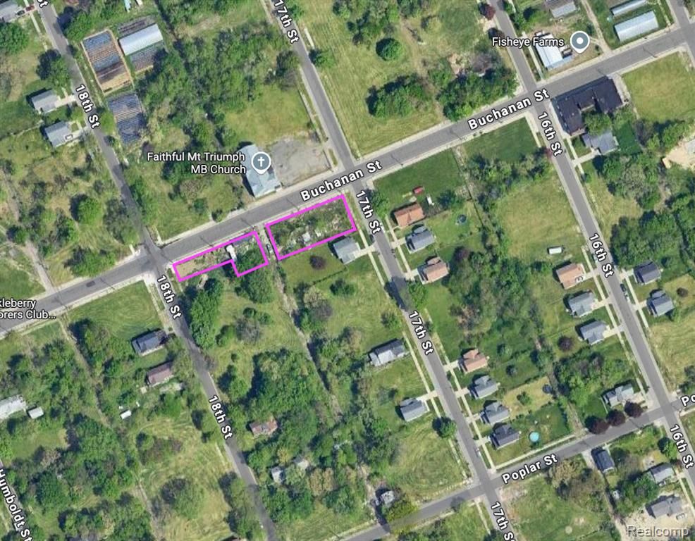 2507 Buchanan Street, Detroit, MI 48208