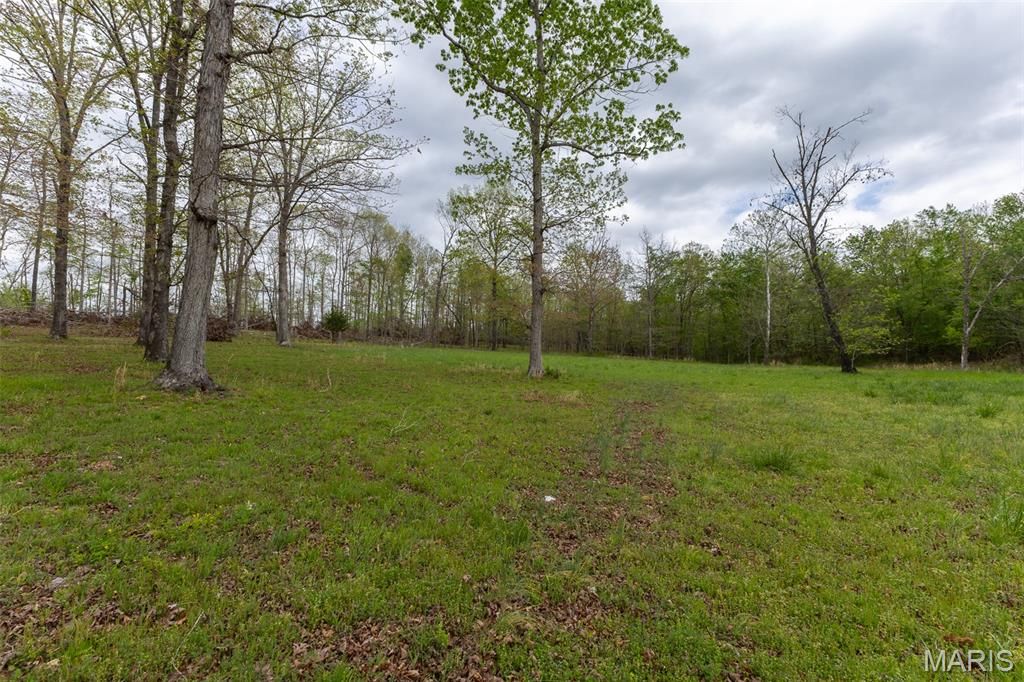 Image 28 of property listing at 650 Ripley JJ-2, Fairdealing, MO 63939
