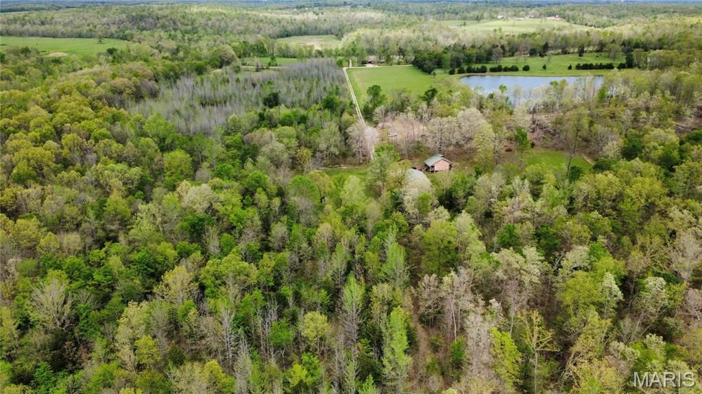 Image 31 of property listing at 650 Ripley JJ-2, Fairdealing, MO 63939