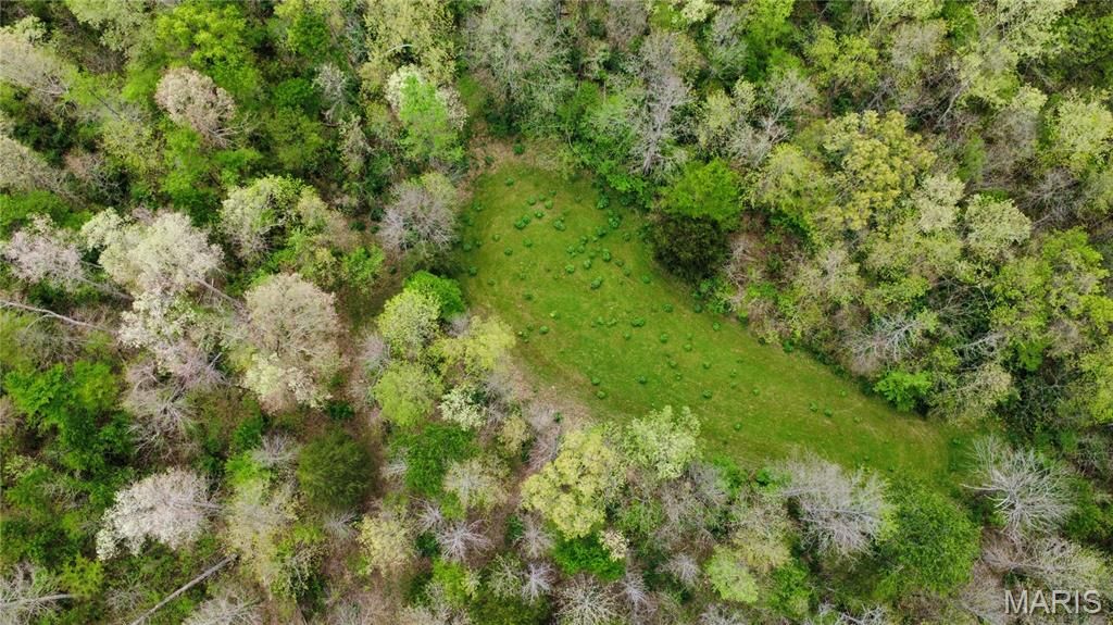 Image 32 of property listing at 650 Ripley JJ-2, Fairdealing, MO 63939