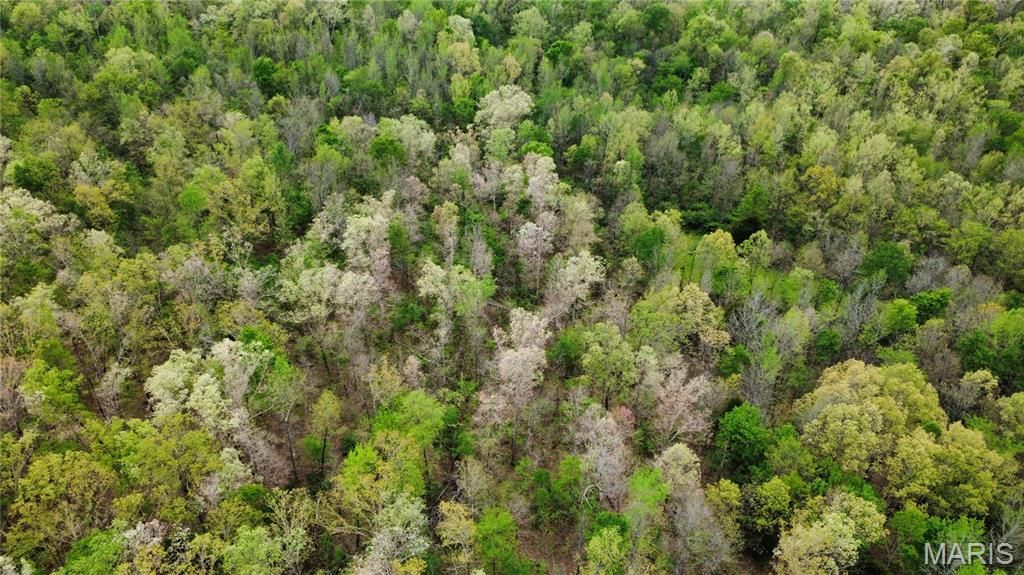 Image 33 of property listing at 650 Ripley JJ-2, Fairdealing, MO 63939