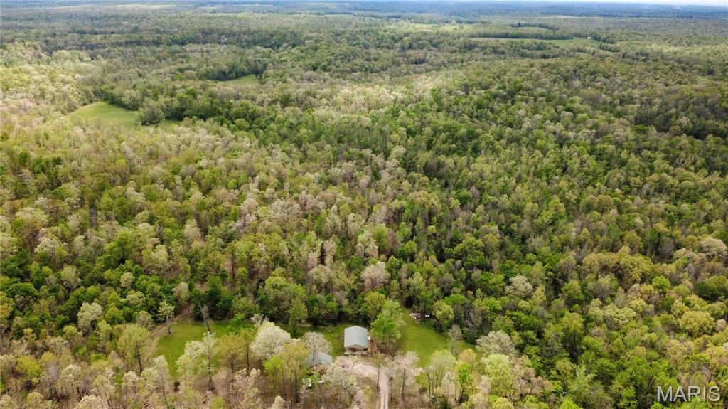 Image 34 of property listing at 650 Ripley JJ-2, Fairdealing, MO 63939