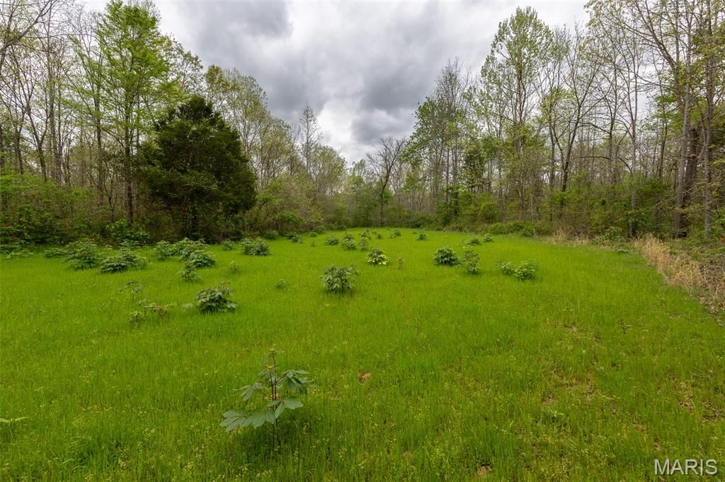 Image 35 of property listing at 650 Ripley JJ-2, Fairdealing, MO 63939