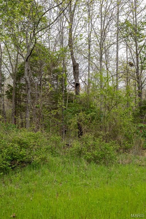 Image 40 of property listing at 650 Ripley JJ-2, Fairdealing, MO 63939