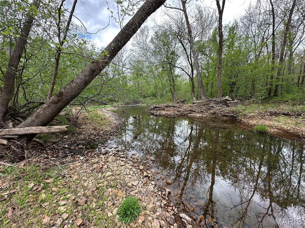 Image 48 of property listing at 650 Ripley JJ-2, Fairdealing, MO 63939