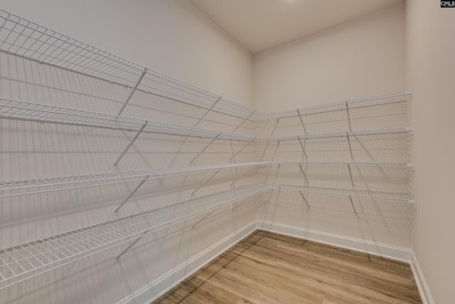 2486 Green Viper Loop, Blythewood, SC 29016