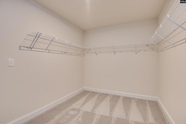 2486 Green Viper Loop, Blythewood, SC 29016