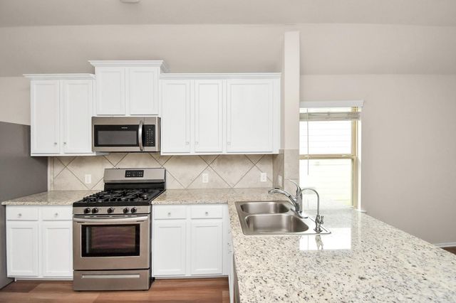 25634 Royal Catchfly Road, Katy, TX 77493