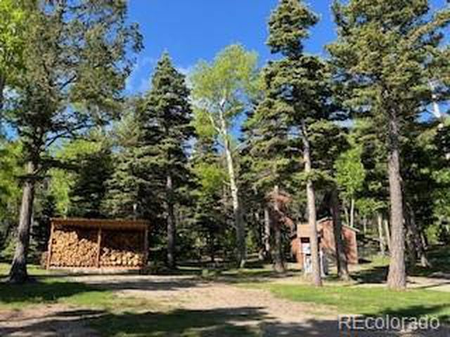 2945 Forbes Park Rd, Fort Garland, CO 81133