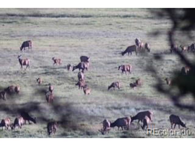 2945 Forbes Park Rd, Fort Garland, CO 81133