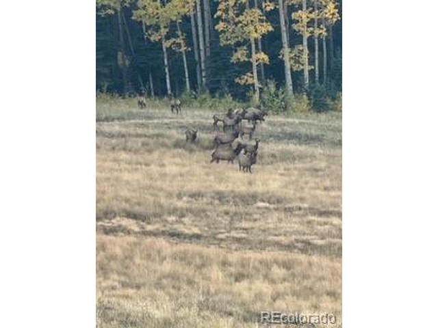 2945 Forbes Park Rd, Fort Garland, CO 81133