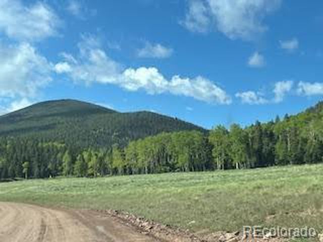 2945 Forbes Park Rd, Fort Garland, CO 81133