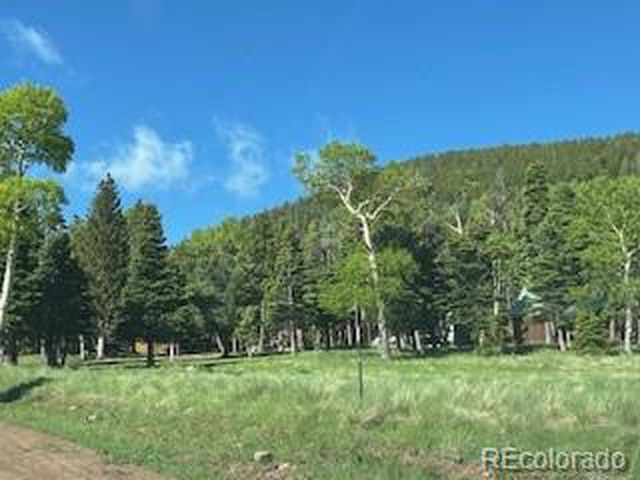 2945 Forbes Park Rd, Fort Garland, CO 81133