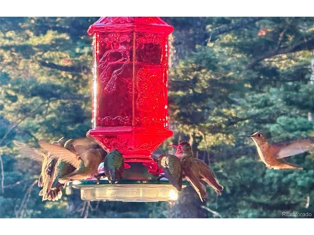 2945 Forbes Park Rd, Fort Garland, CO 81133