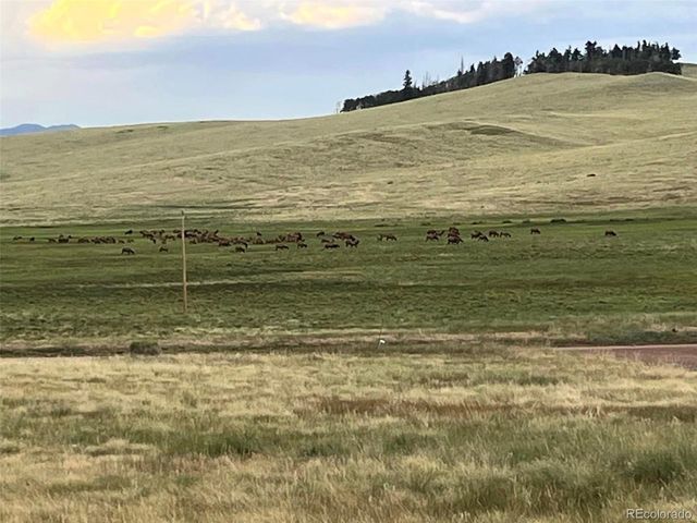 2945 Forbes Park Rd, Fort Garland, CO 81133