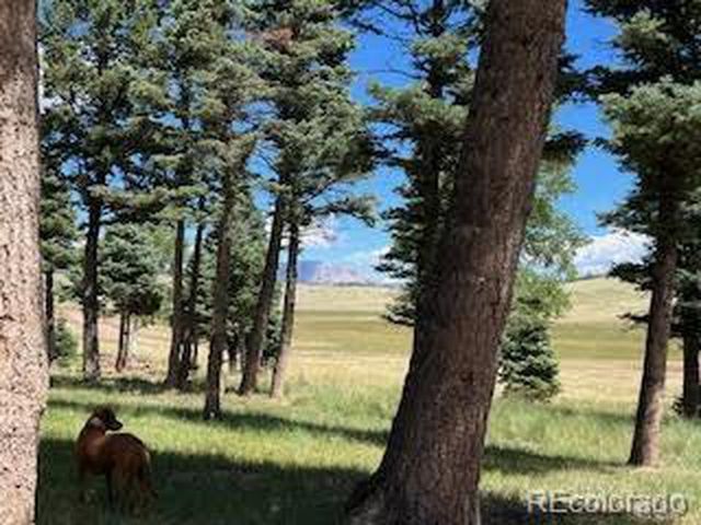 2945 Forbes Park Rd, Fort Garland, CO 81133