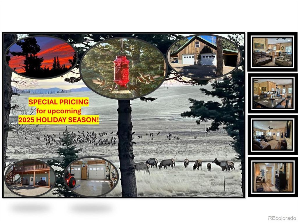 2945 Forbes Park Rd, Fort Garland, CO 81133